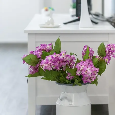 New Teba * 두브로브니크