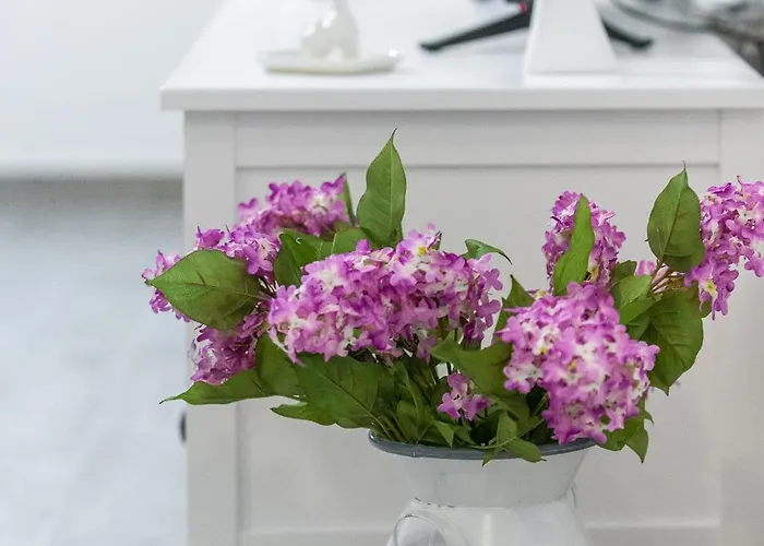 New Teba * 두브로브니크